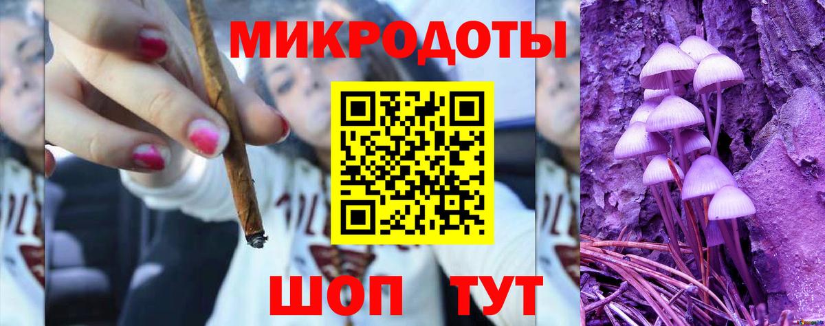 Псилоцибиновые грибы Cubensis Серов