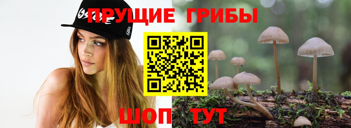 Псилоцибиновые грибы Psilocybe  Вход с VPN  Серов 